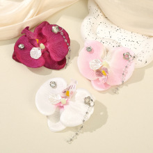 �羳�W����������m�l�A�U�՚���ˮ�朗l�OӋ�b���^zӰ����