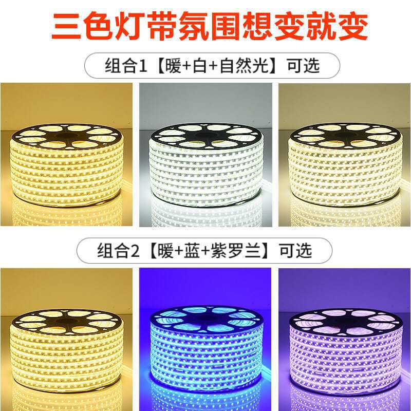 100 미터 LED 스트립 야외 방수 야외 슈퍼 밝은 3 색 노란색 따뜻한 밝은 흰색 파란색 220V 이상