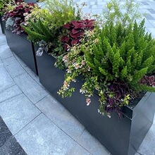 不锈钢花箱组合1高端花池围栏加厚外摆长方形花盆酒店隔断花槽