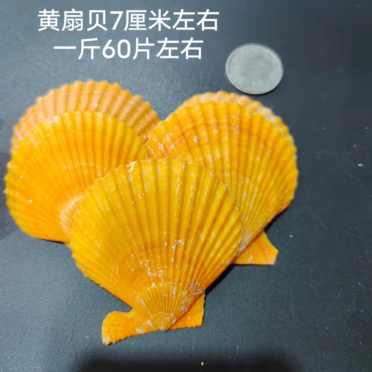 微信图片_20220311174421
