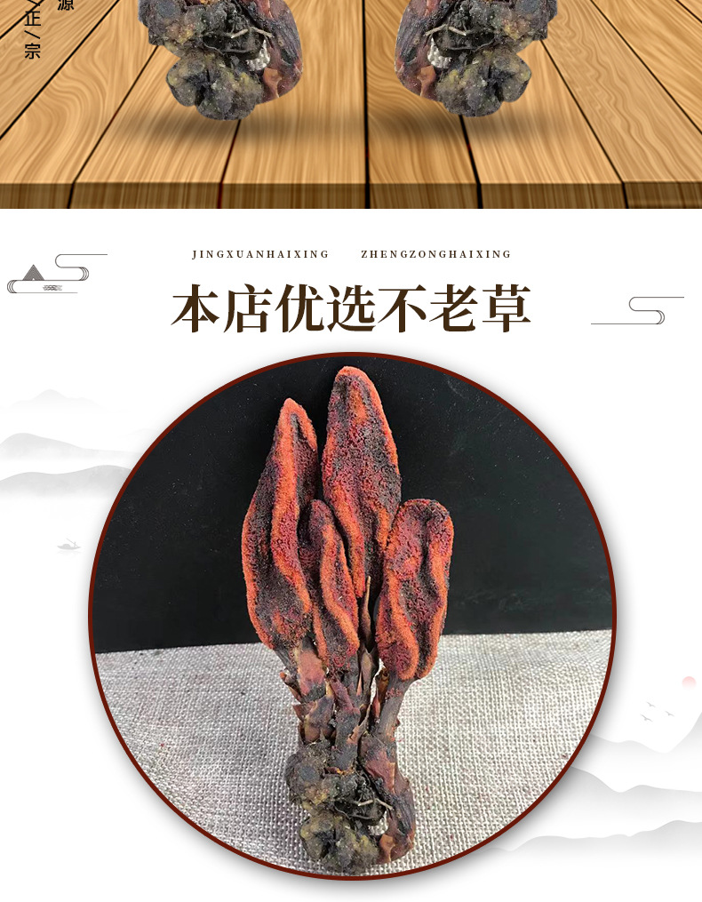 Hui Chun Cao Dried Herb 500g Wild-Crafted Yunnan Herb for Wine Infusion and Decoction overview
