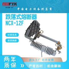 һʽ۔NCX-12F/200A NCX-12F/100A ߉۔_P