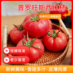 ���ں����Ȼ��ɳȿ���t��10�����_��˹�Fժ���rˮ���߲˷���