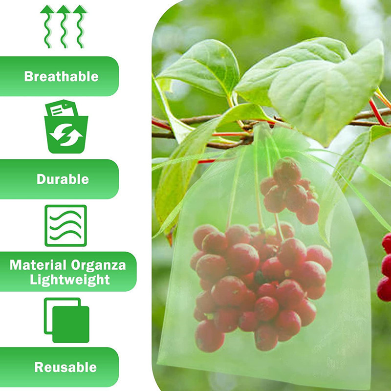 Amazon fruitprotection Bag果物ぶどういちご防虫防鳥ネットバッグ現物|undefined