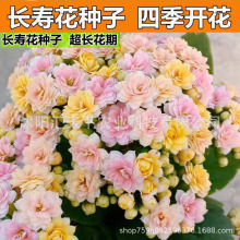 �L�ۻ��N�������һ�ϡ��Ʒ�N�L�ۻ��ذ�󻨻�ɫ�N���ļ��_��