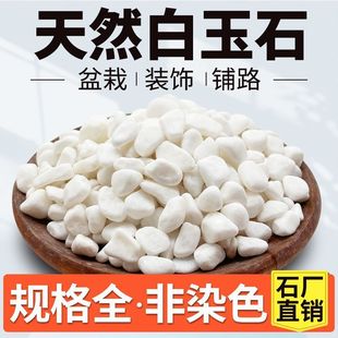 Small White Stone Fleshy Paving Stone Flower Pebbles Rainflower Stone Fish Tank Landscape Bonsai Courtyard Paving Paving