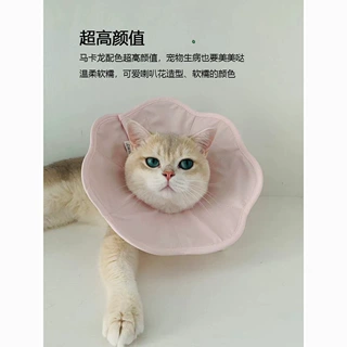 伊丽莎白圈轻便颈圈防舔猫头套猫猫可爱项圈宠物绝育狗脖圈耻辱圈