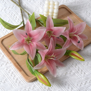 ���滨3�^�zƬ�L֦�ٺ�С���m�ָи߶˼Ҿ��b[���ٻ��S�����l