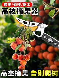 ��֦��ժ��������s�Uժˮ����ժ���˸߿ռ������޼���֦����܊ϼ