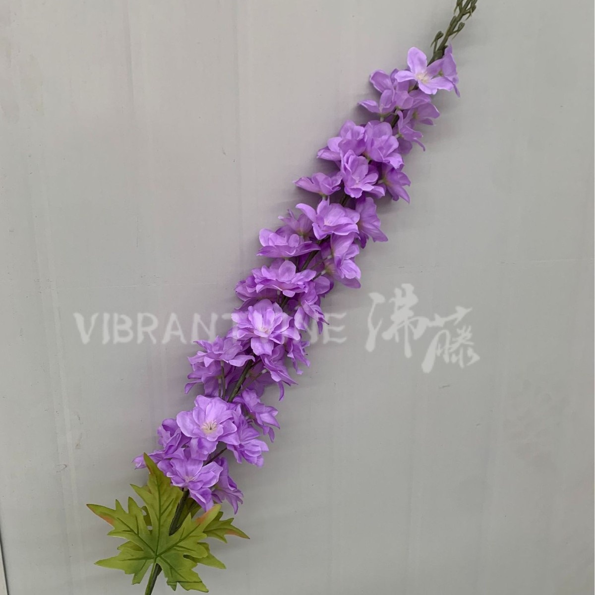 보라색
