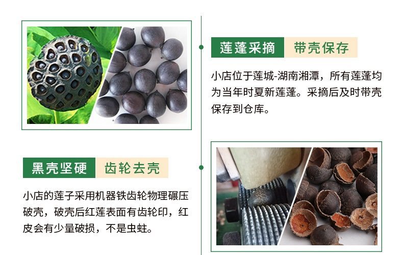 Dried Lotus Seeds with Core Bai Lian Zi 500g Wild White Lotus Seeds for Soup and Tea key features