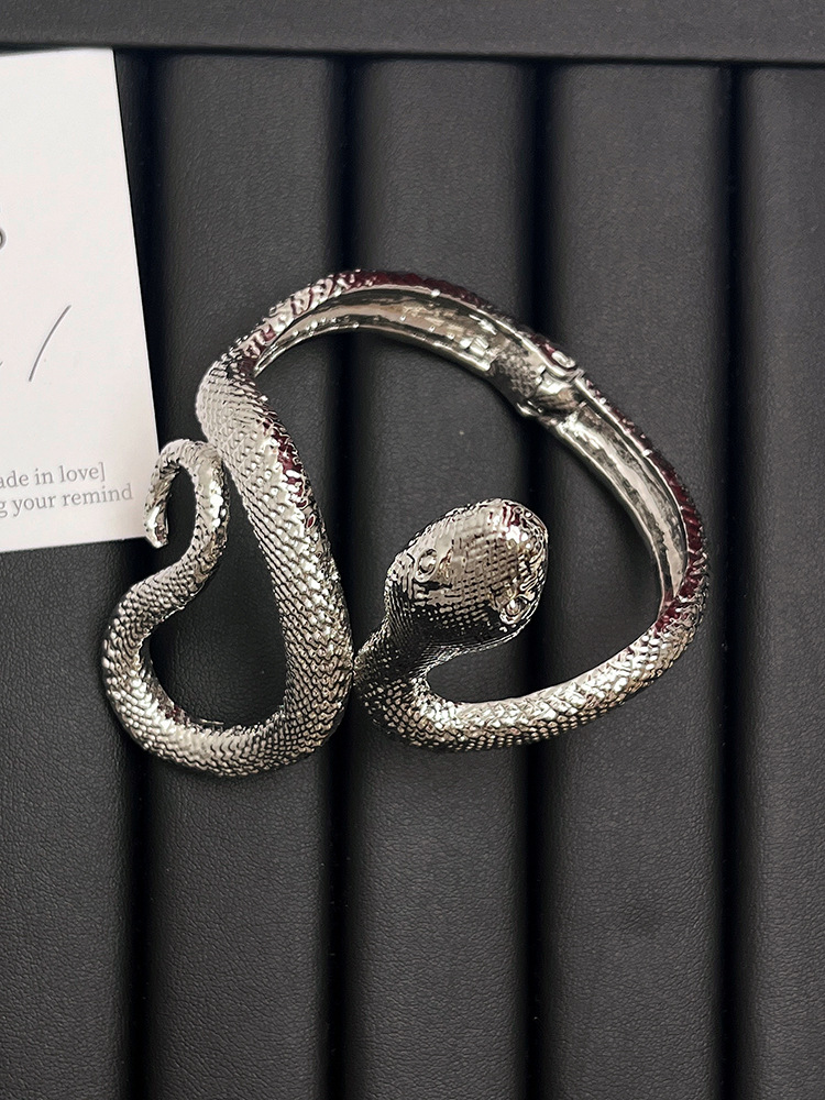 Rétro Serpent Alliage De Gros Bracelet display picture 8