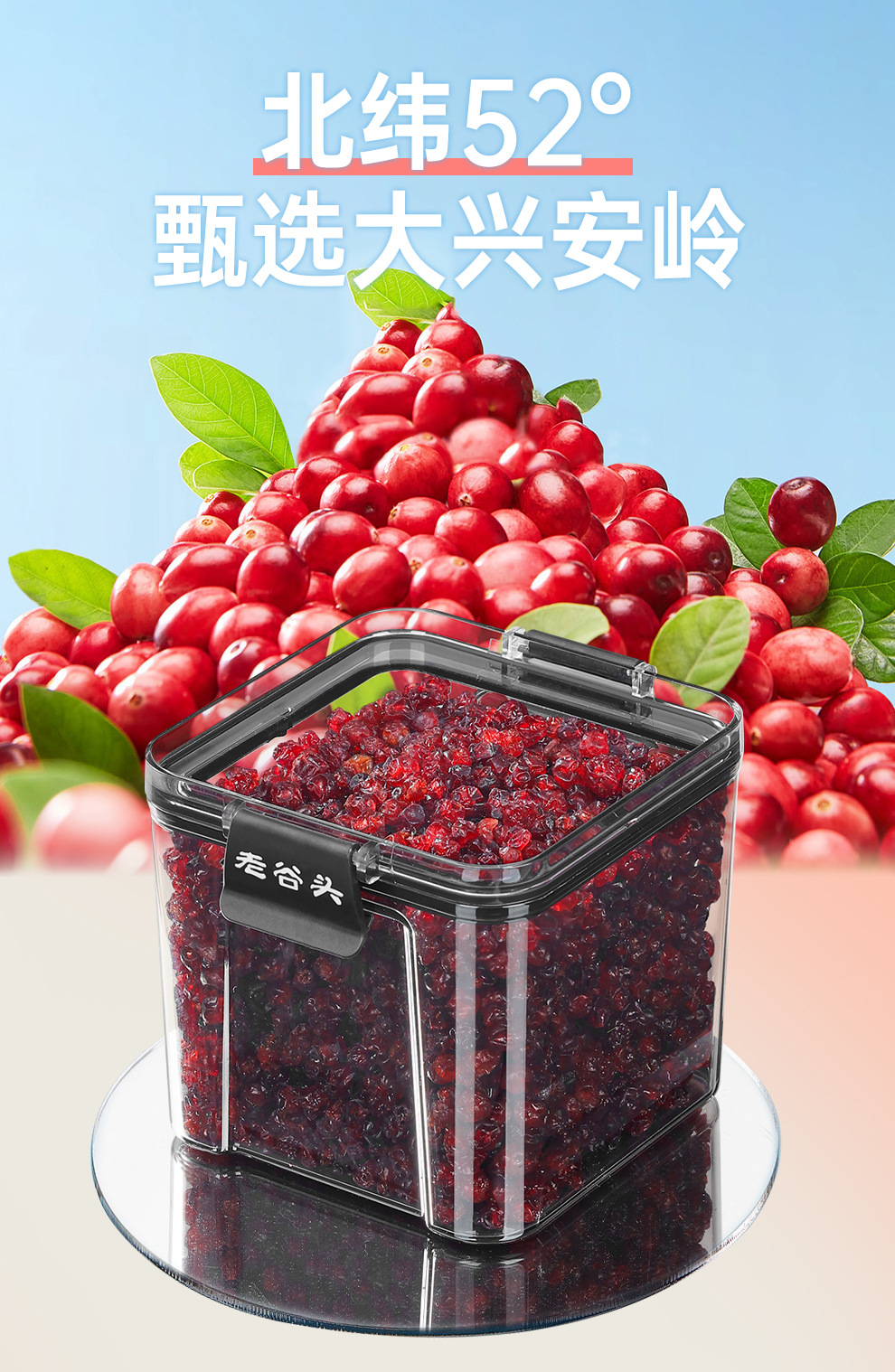Dried Cranberry Fruit Snack for Baking Office Snacking 350g key features