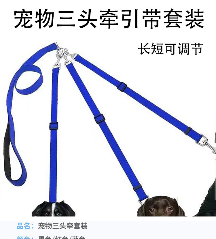 블루