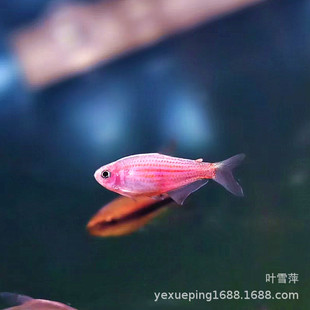 �ʺ���荻��w��ˮ�~��荟������и߶˟��~Ⱥ���~�Ꭷ�~�^�p�~���l