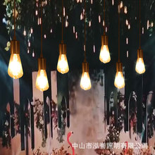 求婚室内布置装饰灯泡挂灯创意森系婚礼浪漫氛围灯饰户外防水灯串