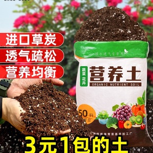 ����I�B���N���B��ͨ���ͷNֲ������͸��N���������������Ҿ²�