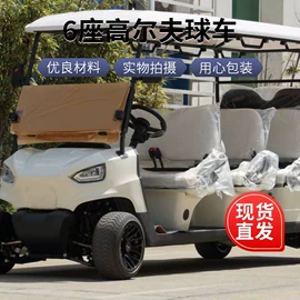 其他电动车;电动观光车;库存交通工具
