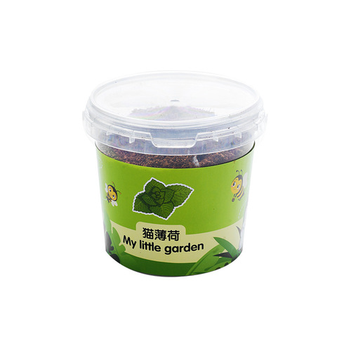 Factory Wholesale DIY Handmade Science Experiment Planting Student Kindergarten Toys Gift Planting Fruits and Vegetables