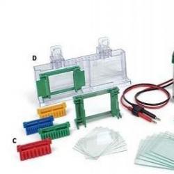 小型垂直电泳槽 转印槽 配件型号：Mini-PROTEAN