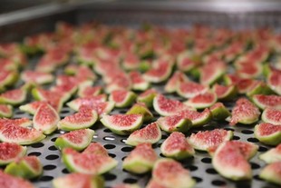 �S��ֱ�N��؛���r��ʳ������Ƥ��ɟo�������ЋD��ʳ�o�mܛŴ����