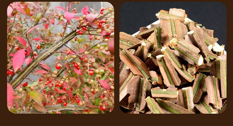 Gui Jian Yu Dried Euonymus Branches 500g Wild Qinling Harvest 2024 Sulfur-Free TCM Herb key features