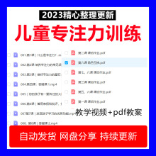 练习全套专注训练儿童课程教案力视觉电子版听觉视频注意力资料