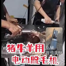 �����i�_늄ӵ�Ƭ���Ӱ��uţ��ȥ������Óë�Cţ��ë��������