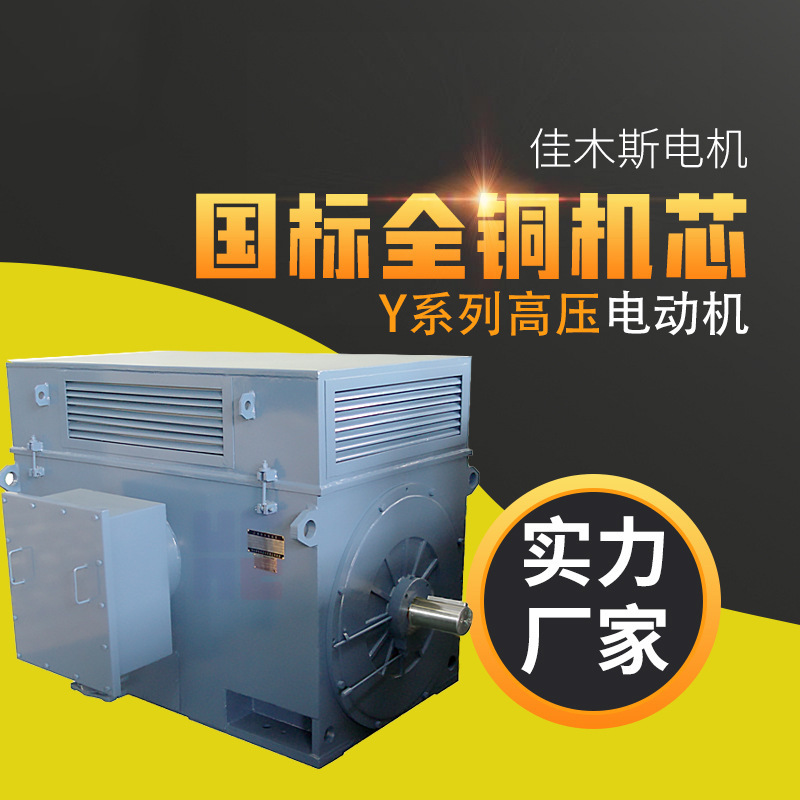 Jiamusi Motor Motor Y Series High Voltage Motor Three-Phase Asynchronous 400Kw450Kw500Kw Spot Wholesale