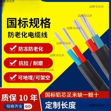 国标2芯铝芯家用户外电缆线电线4 6 10 16 25平方双芯铝线护套线