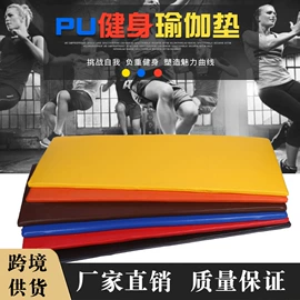 拳击用品;其他健身器材;综合训练鞋