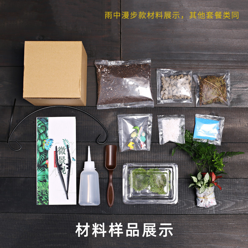 菁娇H12cm罩子青苔藓植物鲜活微景观DIY材料包小盆景栽套装生态瓶