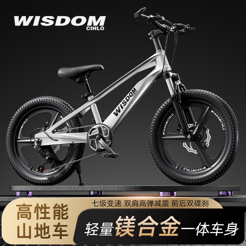 Magnesium Alloy Kidsren's Bicycle 20inch 22inch Medium and Large Kidsren's Variable Speed Mountain Bike 10-Year-Old Student Bike with Shock-Absorbing Disc Brake Magnesium Alloy Kidsren's Bicycle 20inch 22inch Medium and Large Kidsren's Variable Speed Mountain Bike 10-Year-Old Student Bike with Shock-Absorbing Disc Brake