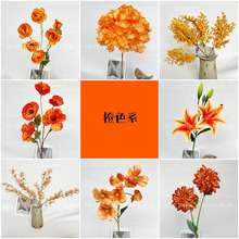 ɫϵ滨ĴrGȑYb҃Ȉüٻl