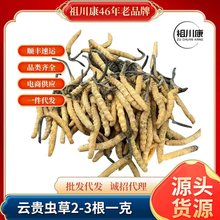 2025�ꁆ����x���F����Ϻ��ϻ���˹�x�����綬�x�Ĳ����l�Y��