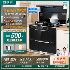 家庭用統合クリーニングキャビネットガスと電気分離蒸しとベーキングオールインワンストーブ煙ストーブ連動モジュール化統合ストーブ工場卸売