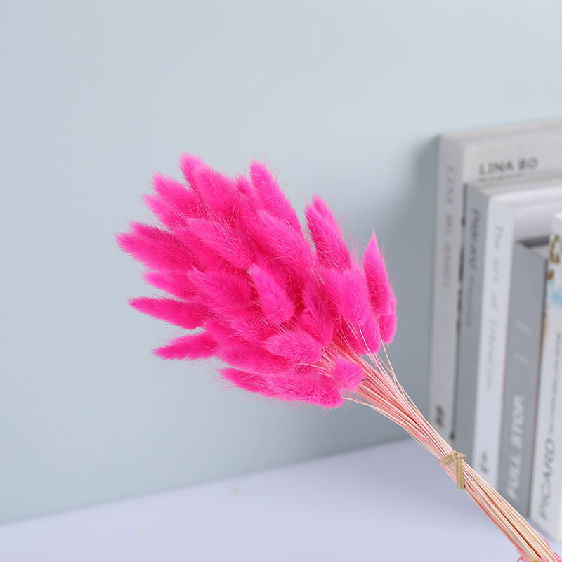 La flor eterna de la flor de la cola de conejo hierba seca 60 piezas al por mayor Dogtail hierba seca ramo de flores decoración DIY conejo hierba de la cola