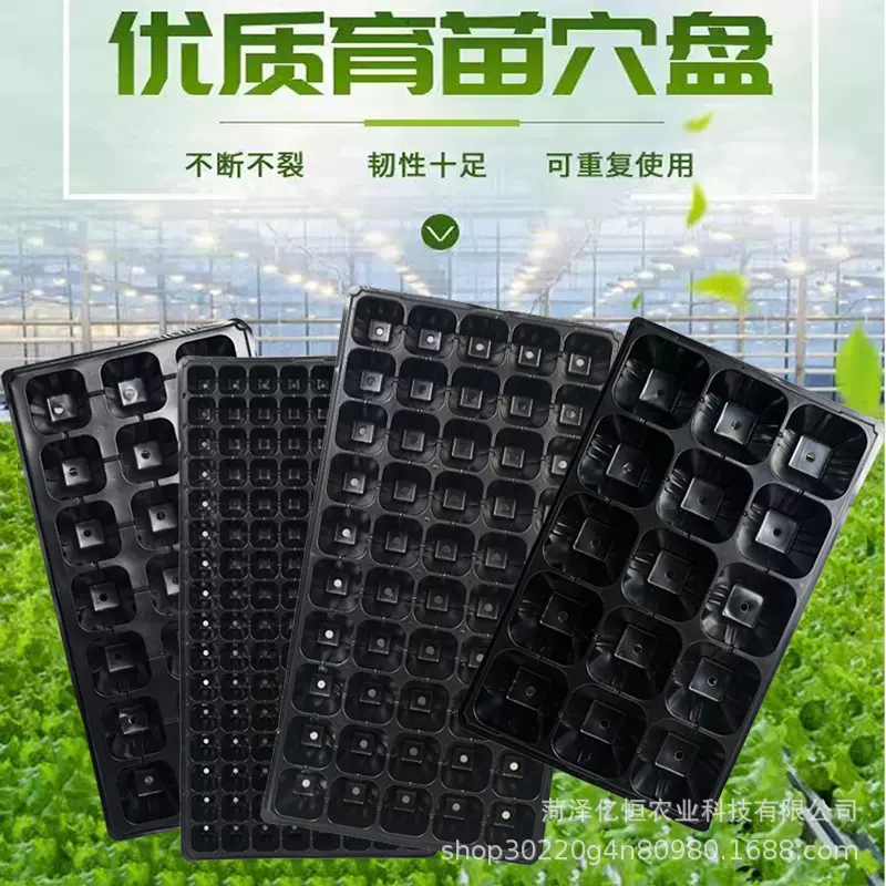 育苗盘穴盘林木加深多肉蔬菜塑料秧盘育苗盆托盘培育盆厂家批发
