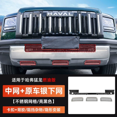 Water Tank, Anti-Mouse Protective Cover, Automobile anti-insect net - haval-raptors-middle-net-silver-lower-net-bright-black