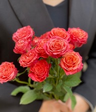 新鲜玫瑰多头玫瑰花级优质玫瑰茜茜公主橙红色多头玫瑰云南直发