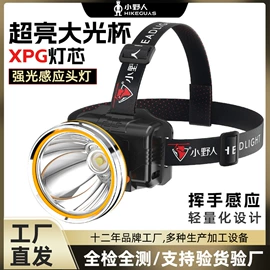 手电筒;头灯头戴电筒;提灯