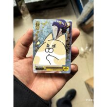 ws�ڰ��p���ÿ���ԡ�D����C���۹ⲣ���W63*88�ߴ翨�Ɗʘ���