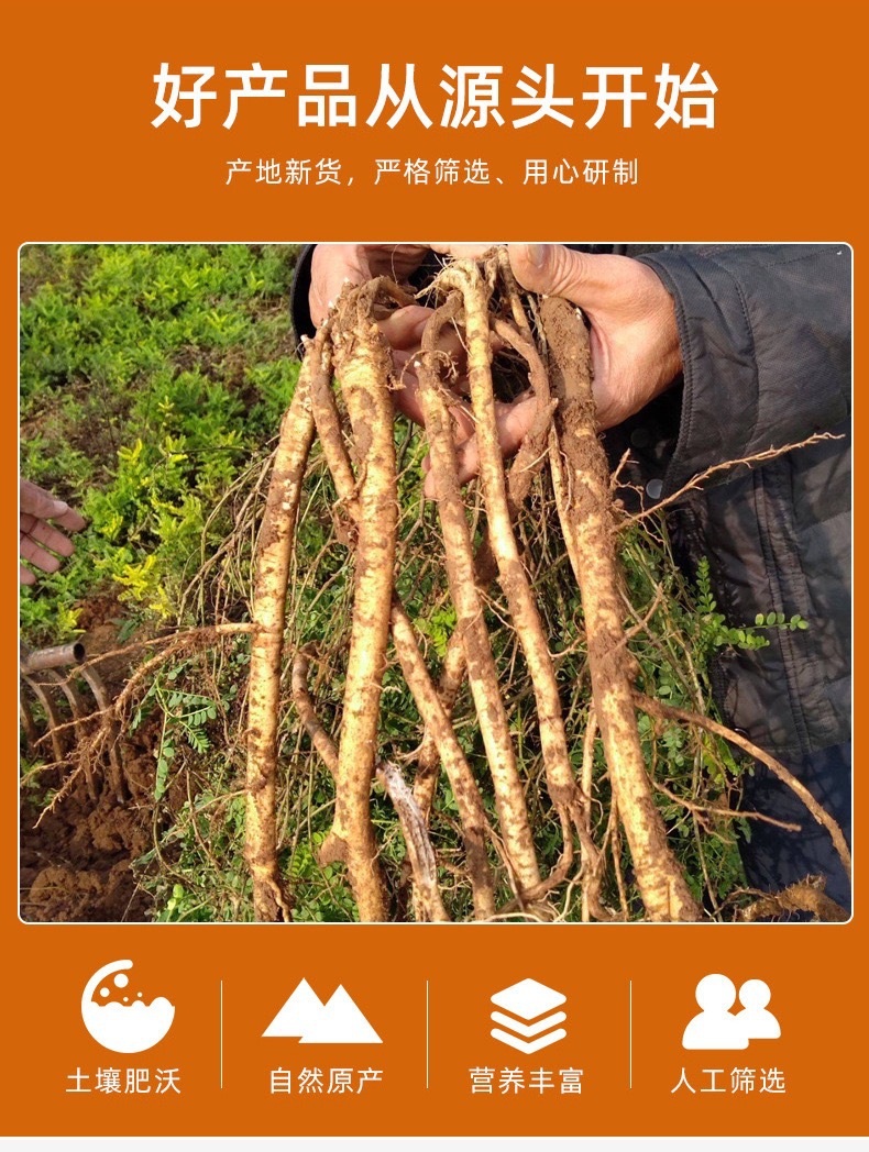 Astragalus Slices Huang Qi 斜片罐装 120g Dried Herbal Tea Slices for Decoction and Daily Wellness overview