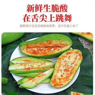 �������r�������â�����ϏV����â����â���ļ�â�Fժ1/5������