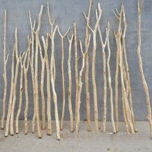 �S��ֱ�l���͘�֦ȥƤ��֦��֦��������¼�ԭľ�¼ܒ�̺ľ��Ĭ�J