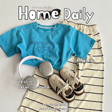 �ļ����}ʢ�ĺ��{�p���ɼ������b ��ͯ���e���b