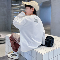 Boys spring long-sleeved T-shirt spring and autumn thin bottoming shirt 2024 new children's sweatshirt spring top white trendy T