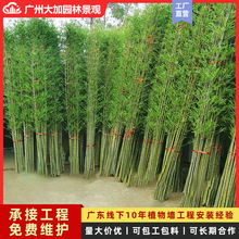 仿真竹子假竹子室内外装饰隔断屏风围墙景观人造竹仿真植物墙造景