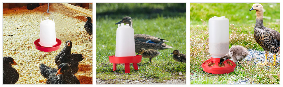 6e7db597-61b8-4b28-abee-d0a855