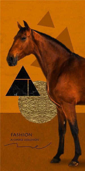 50322 Caballo de lujo ligero01